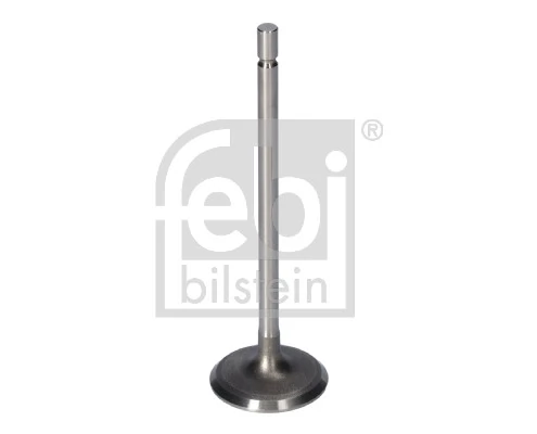 Intake Valve